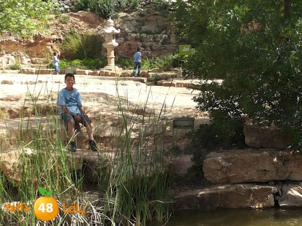 rashidiyasy 0531 (12).jpg